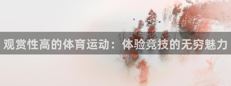 观赏性高的体育运动：体验竞技的无穷魅力