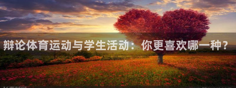辩论体育运动与学生活动：你更喜欢哪一种？