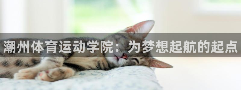潮州体育运动学院：为梦想起航的起点