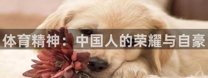 体育精神：中国人的荣耀与自豪