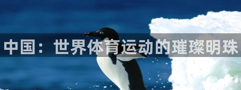 中国：世界体育运动的璀璨明珠