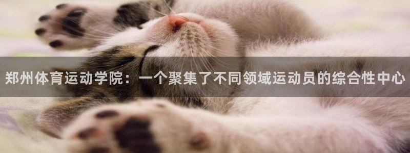 郑州体育运动学院：一个聚集了不同领域运动员的综合性中心