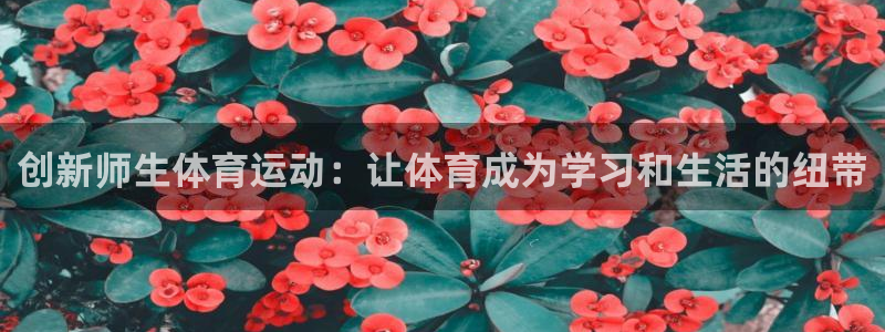 创新师生体育运动：让体育成为学习和生活的纽带