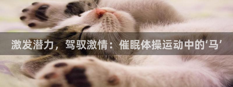 激发潜力，驾驭激情：催眠体操运动中的‘马’